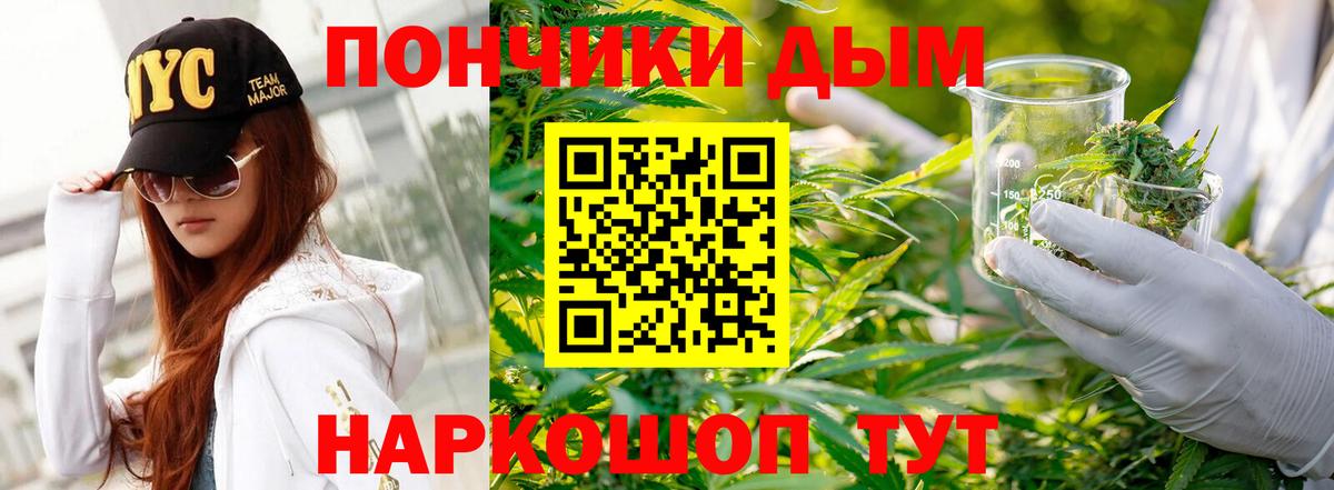 Шишки марихуана семена Сибай